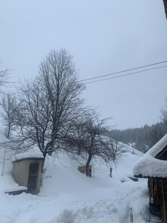 Cottage house Podobovets Exterior foto