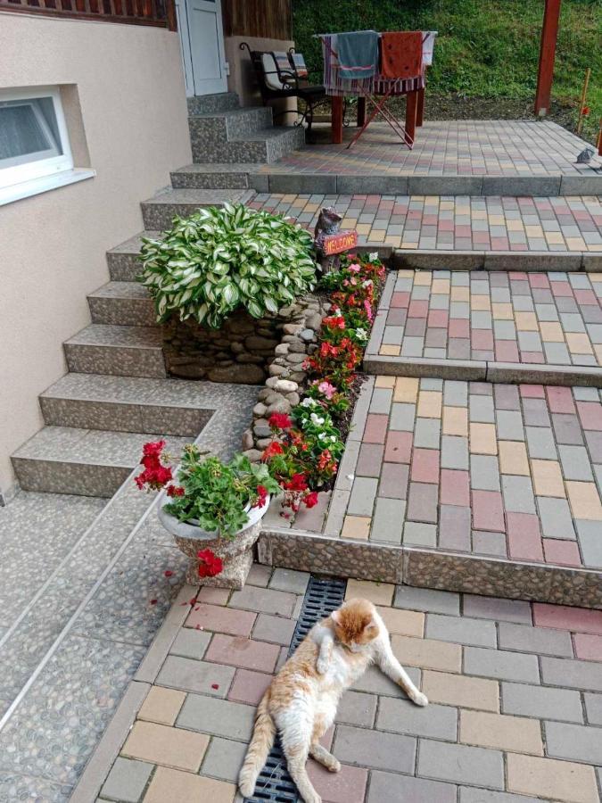 Cottage house Podobovets Exterior foto